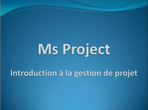 support-ms-project